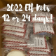 2024 Elf Kit 24 Days of Christmas